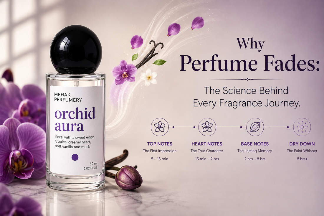 Why Perfume Fades: The Science Behind Every Fragrance Journey