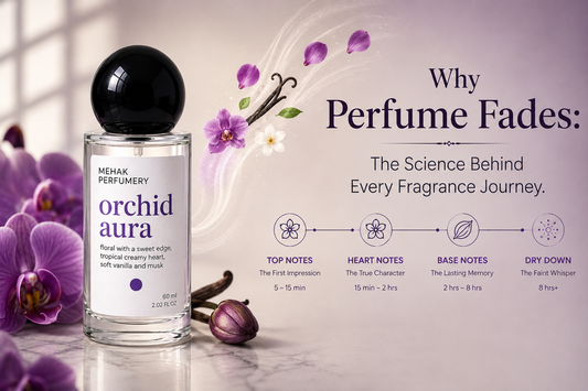 Why Perfume Fades: The Science Behind Every Fragrance Journey